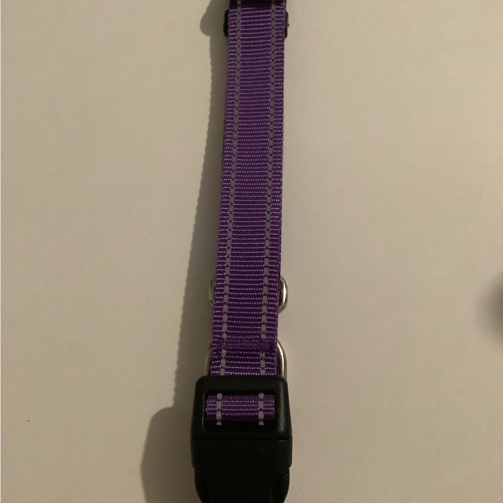 Dog collar - Picture 4 of 5